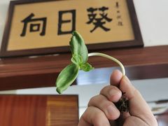 -美景家宴