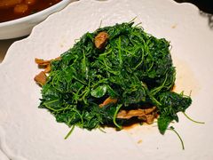 -吴越荣记苏州菜·松鼠桂鱼 100% 活鱼现做(月光码头店)