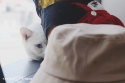 -飛凡TATTOO纹身•原创