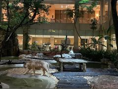 -麒麟中餐厅·经典粤菜·地道菜式老字号(广州长隆酒店)