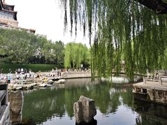 -环城公园