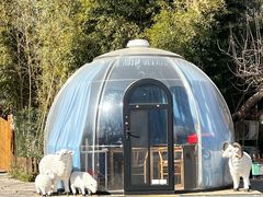 -香木香羊(小汤山店)