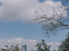 -龟山风景区-龟山电视塔