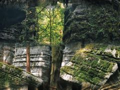 -梭布垭石林景区