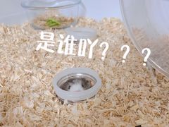 -邦泰·异宠动物医院