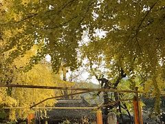 -潭柘寺景区