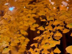 -承恩寺