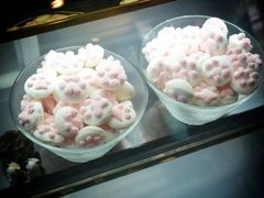 -猫咪博物馆(顶澳仔猫街店)