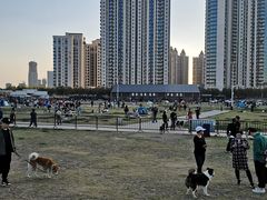 -栖露营camping·天幕烧烤·团建拓展·采摘营地