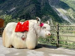 -叠溪松坪沟景区