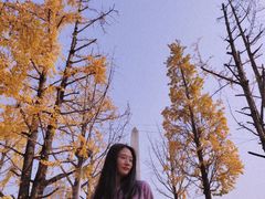 -百林公园-两江幸福广场