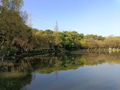 -八卦田遗址公园