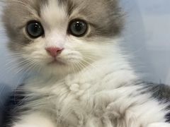 -新疆天山野生动物园