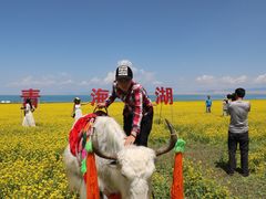 -青海湖国家重点风景名胜区