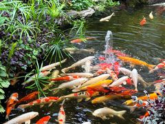 -聚福宝合苑食府(南头镇店)