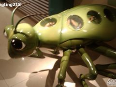 -上海昆虫博物馆