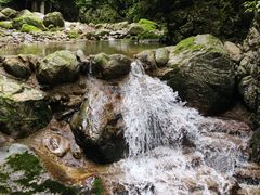 -牛背梁国家森林公园