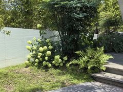 -雅苑中餐厅