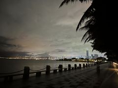 -深圳湾公园(南山区)