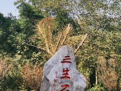 -丰都鬼城名山景区