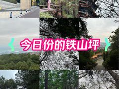 -铁山坪森林公园
