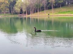 -新洲生态园