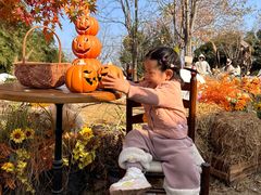 -HERRE·FARM 赫尔露营农场·团建聚会包场