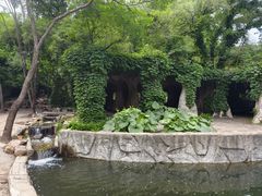 -沈阳植物园