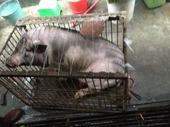 -九和鸿禧饭店
