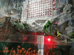 -苏州海洋馆