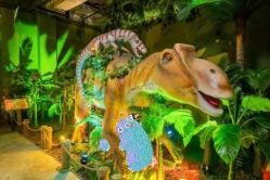 -恐龙探索乐园(磁器口店)