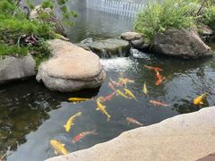 -罗红摄影艺术馆