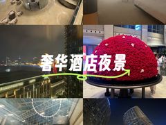 -上海外滩茂悦大酒店
