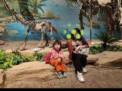 -自贡恐龙博物馆