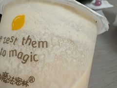 -猫的魔法密林(衣裳街店)