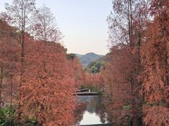 -云溪植物园