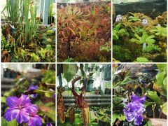-国家植物园南园