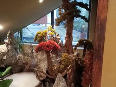 -李久其家民间餐厅(观沙岭公园店)