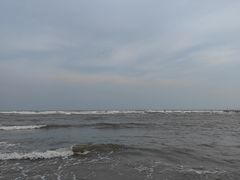 -日照海滨国家森林公园