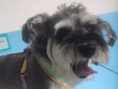 -瑞派福兴宠物医院犬猫全科·骨科·中西医结合(河东店)