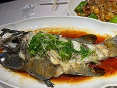 -小螺号海鲜·地道鲁菜(省体总店)
