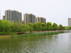 -南翔镇银翔湖公园