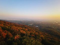 -紫金山山顶公园