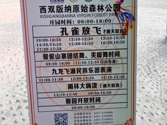 -西双版纳原始森林公园
