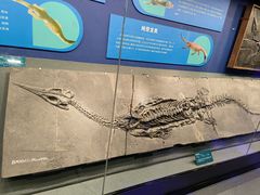 -国家自然博物馆