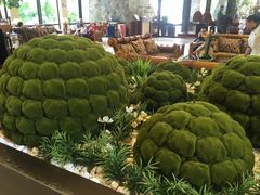 -惠州惠阳丽景国际花园酒店(市政广场店)