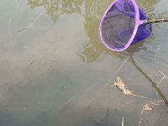 -太二酸菜鱼(天鹅湖万达店)