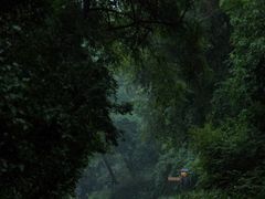 -北陵公园