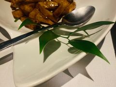 -梧桐