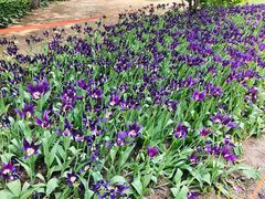 景点-长春公园(普阳街道)